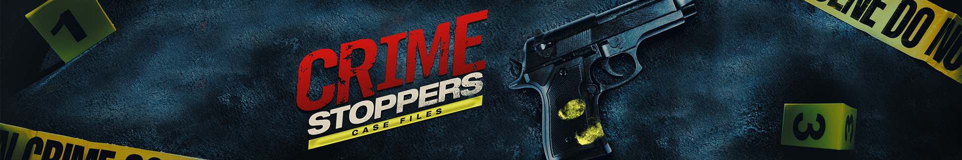 Crime Stoppers: Case Files