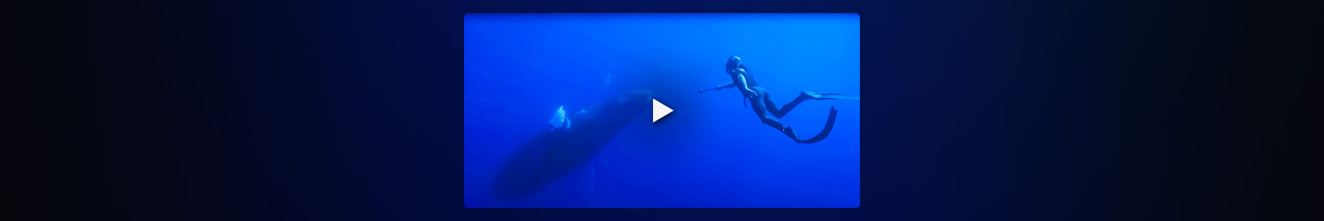 Curious?: Natural World Trailer